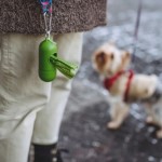 Dispensador Verde  con rollo de 100 bolsas