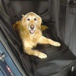 Funda de asiento trasero de vehículo para perro