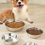 Tazón de agua y comida para perro de acero inoxidable L