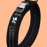 Collar reflectante ajustable para Perro M
