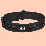 Collar reflectante ajustable para Perro M
