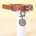 Collar ajustable para perro con colgante decorativo XL