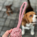 Juguete Masticable- Cuerda y nudo con pelota
