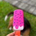 Juguete Masticable- Paleta