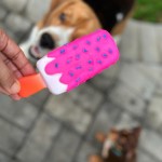 Juguete Masticable- Paleta