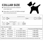 Collar  para perro con patron de huellas-huesos