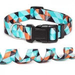 Collar Ajustable para perro  patrones azules