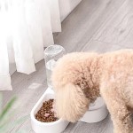 Set de agua y alimentos para gatos y perros pequeños
